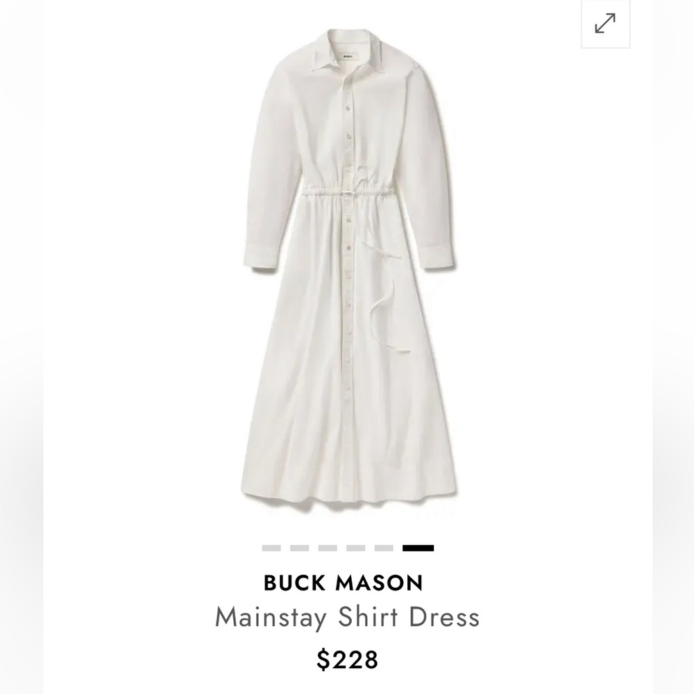 NWT Buck Mason Mainstay Shirt Dress- Small